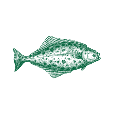 Image for choice number 2